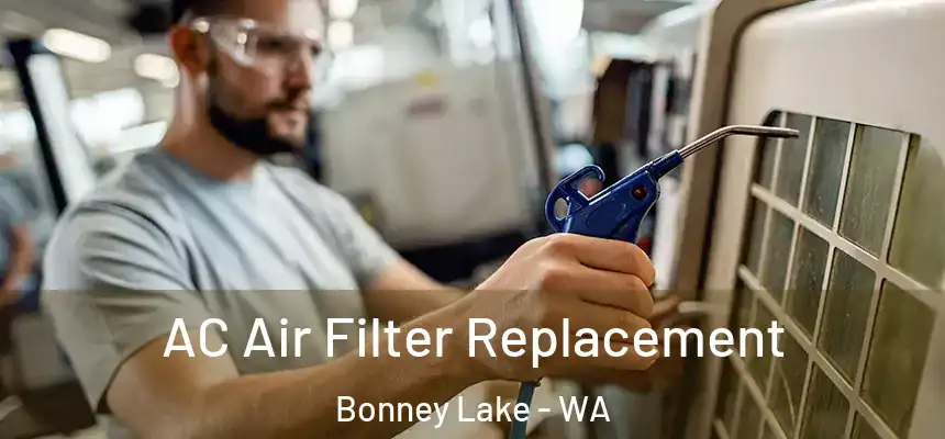 AC Air Filter Replacement Bonney Lake - WA