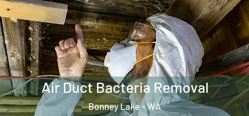 Air Duct Bacteria Removal Bonney Lake - WA
