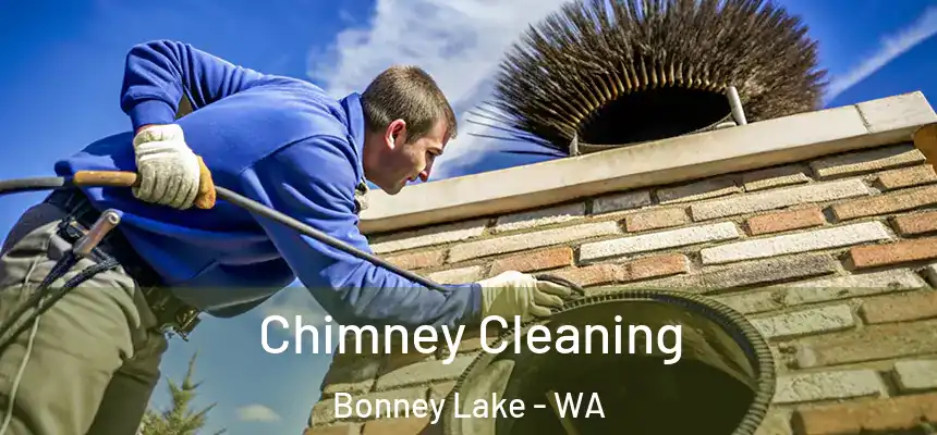 Chimney Cleaning Bonney Lake - WA