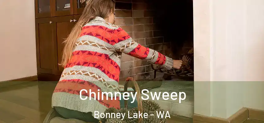 Chimney Sweep Bonney Lake - WA