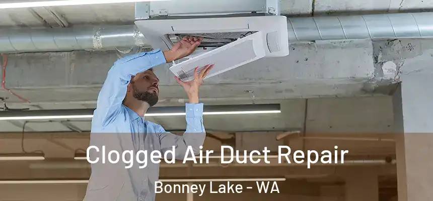 Clogged Air Duct Repair Bonney Lake - WA