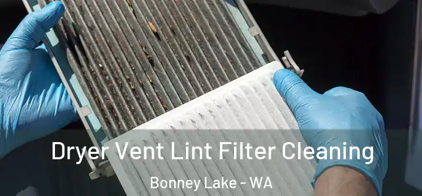 Dryer Vent Lint Filter Cleaning Bonney Lake - WA
