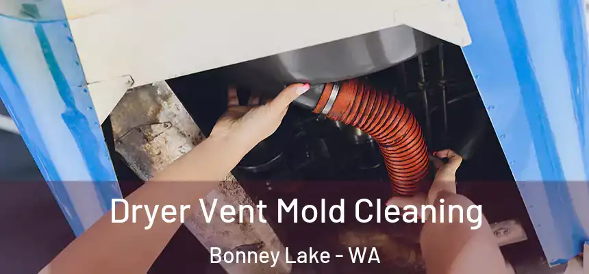 Dryer Vent Mold Cleaning Bonney Lake - WA