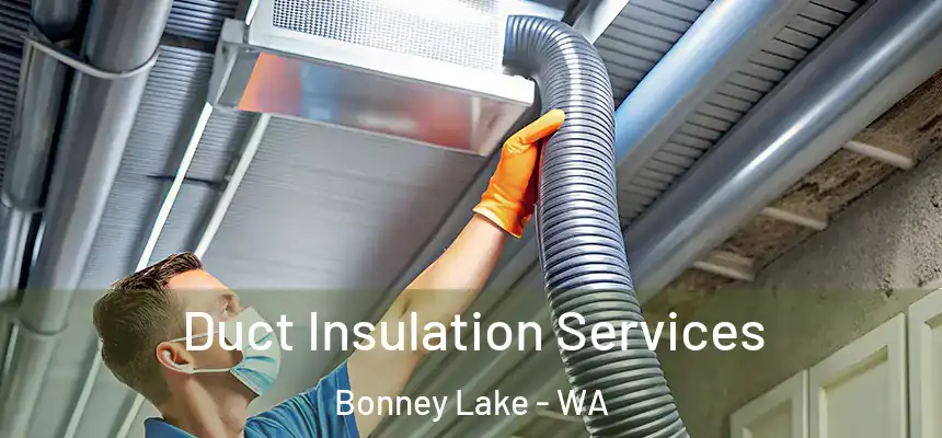 Duct Insulation Services Bonney Lake - WA