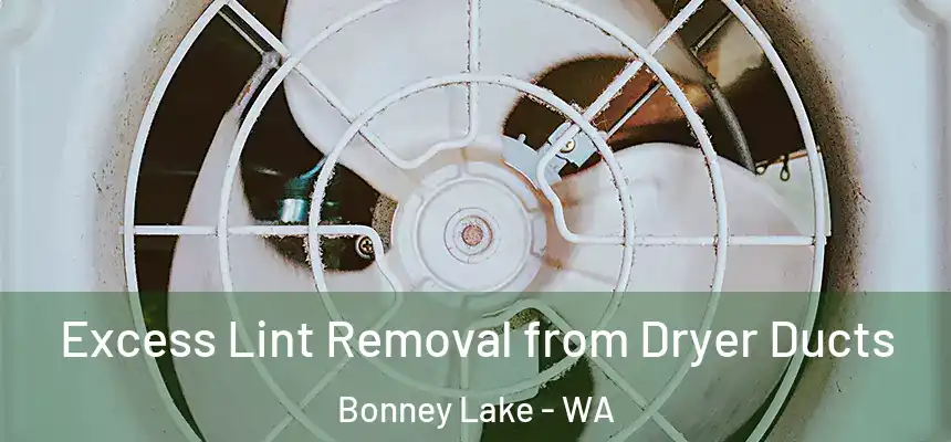  Excess Lint Removal from Dryer Ducts Bonney Lake - WA