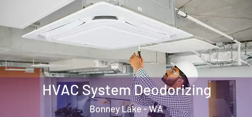 HVAC System Deodorizing Bonney Lake - WA