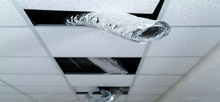 Affordable HVAC Sanitizing After Pest Removal in Bonney Lake