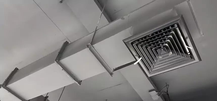 Our Rodent Droppings In Vents Services in Bonney Lake, WA