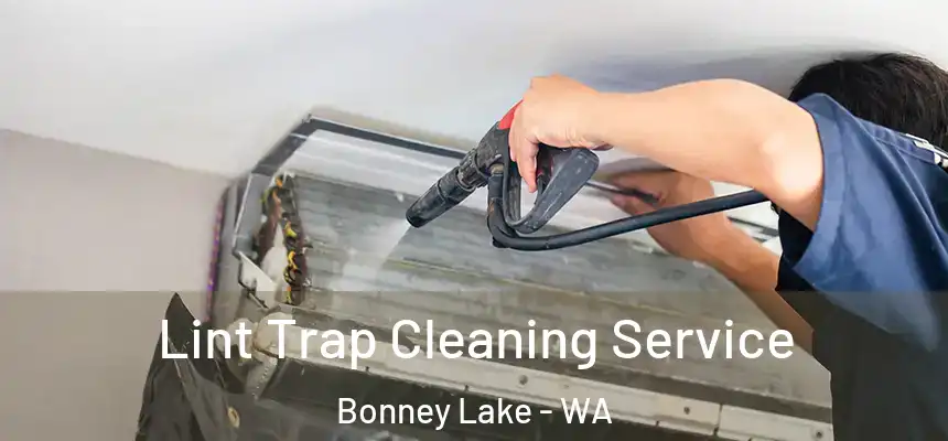 Lint Trap Cleaning Service Bonney Lake - WA