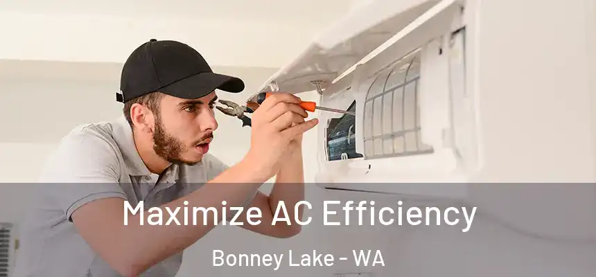 Maximize AC Efficiency Bonney Lake - WA