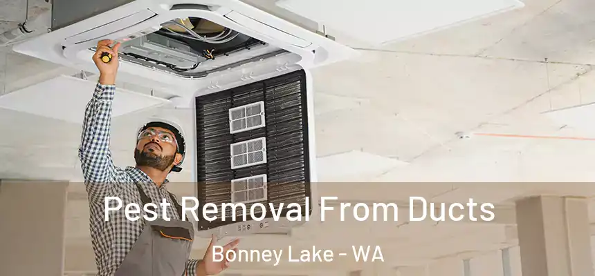 Pest Removal From Ducts Bonney Lake - WA