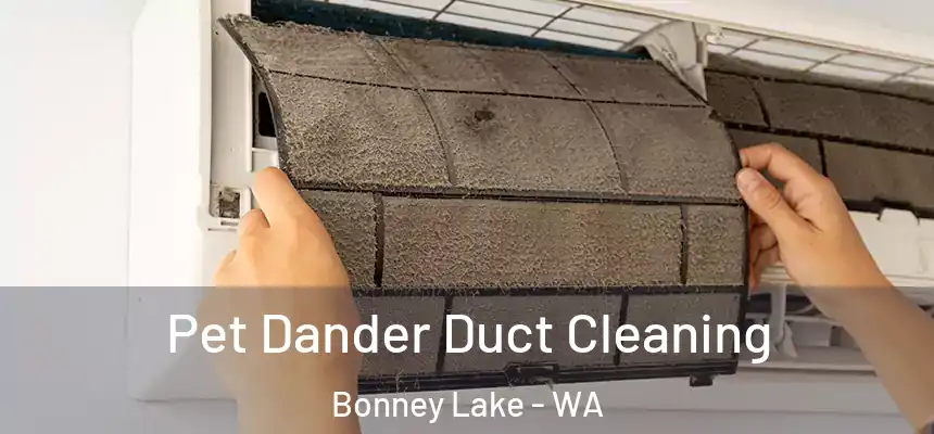  Pet Dander Duct Cleaning Bonney Lake - WA