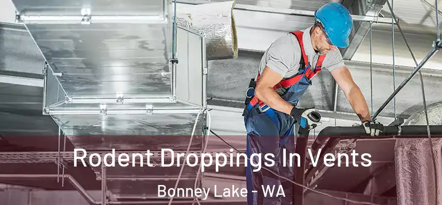 Rodent Droppings In Vents Bonney Lake - WA