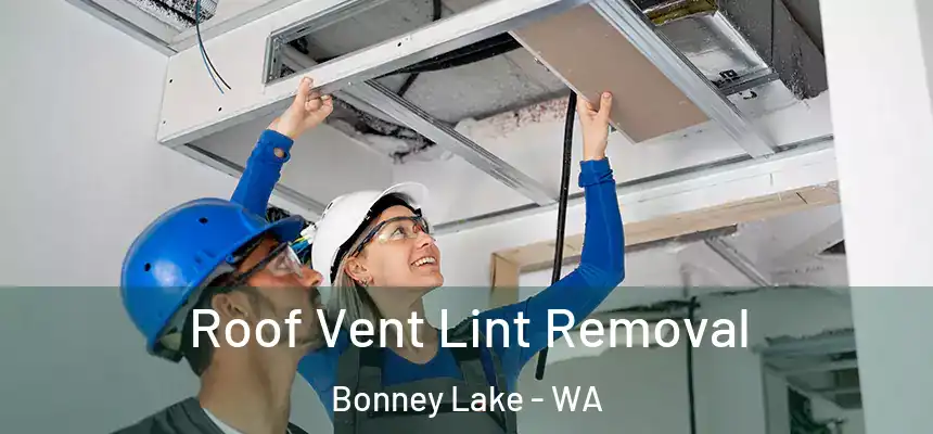 Roof Vent Lint Removal Bonney Lake - WA