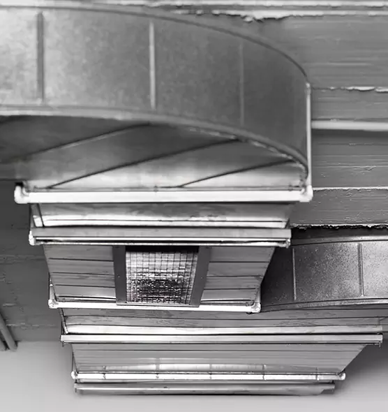 Professional Air Duct Pet Hair Removal in Bonney Lake, WA