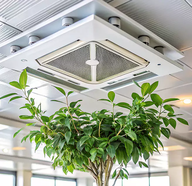 Why Homeowners & Businesses Trust Us in Bonney Lake, WA?