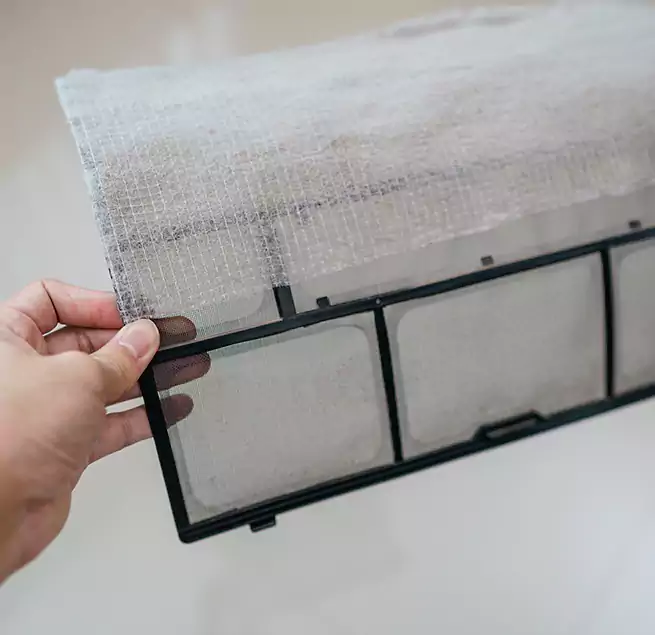 Why Homeowners & Businesses Trust Us in Bonney Lake, WA?