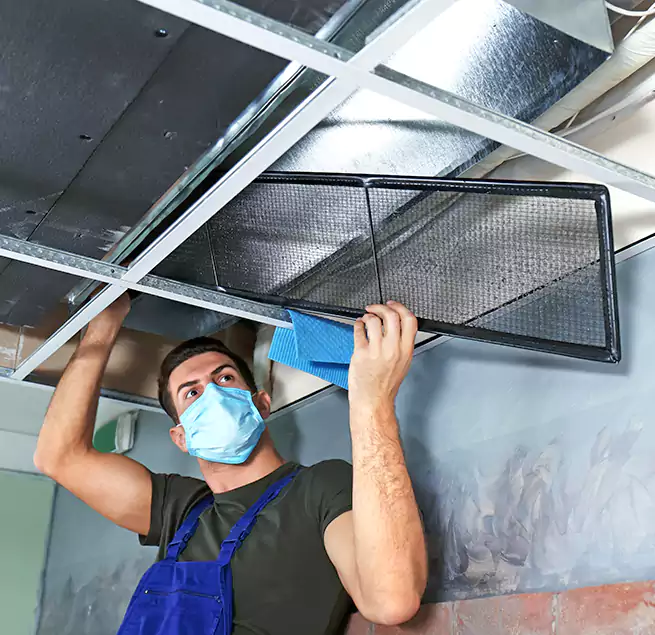 Why Homeowners Businesses Trust Us in Bonney Lake, WA