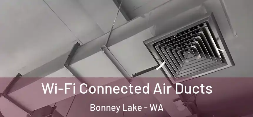  Wi-Fi Connected Air Ducts Bonney Lake - WA